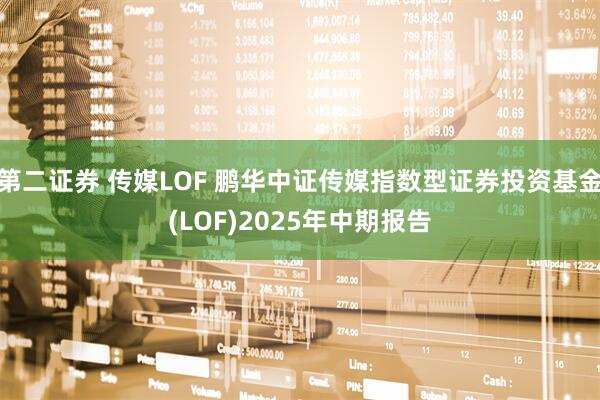 第二证券 传媒LOF 鹏华中证传媒指数型证券投资基金(LOF)2025年中期报告