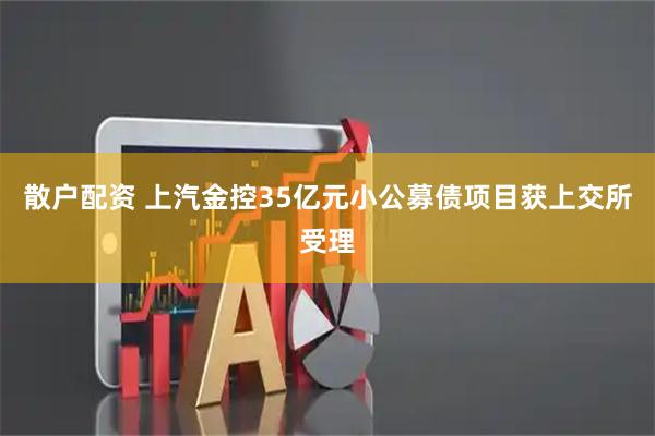 散户配资 上汽金控35亿元小公募债项目获上交所受理