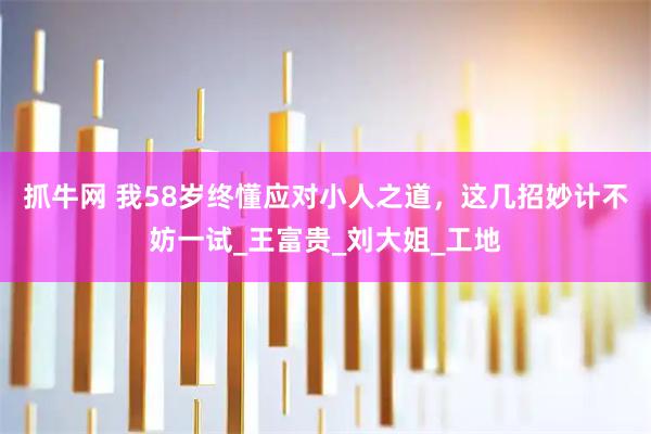 抓牛网 我58岁终懂应对小人之道，这几招妙计不妨一试_王富贵_刘大姐_工地