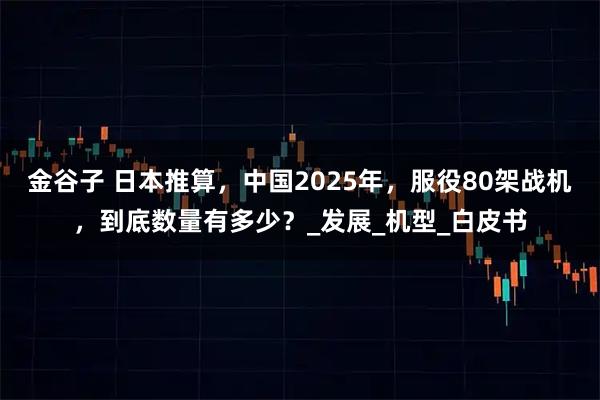 金谷子 日本推算，中国2025年，服役80架战机，到底数量有多少？_发展_机型_白皮书