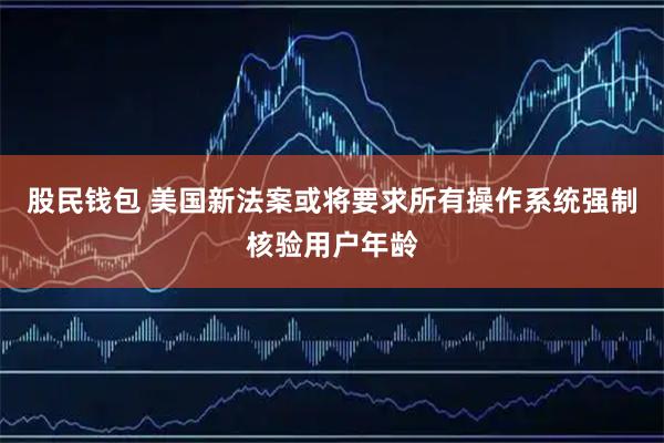 股民钱包 美国新法案或将要求所有操作系统强制核验用户年龄